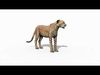  Most Real Cheetah - 8k - 3d animated 3D model_1