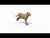  Most Real Cheetah - 8k - 3d animated 3D model_2