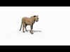  Most Real Cheetah - 8k - 3d animated 3D model_3