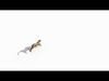  Most Real Cheetah - 8k - 3d animated 3D model_4