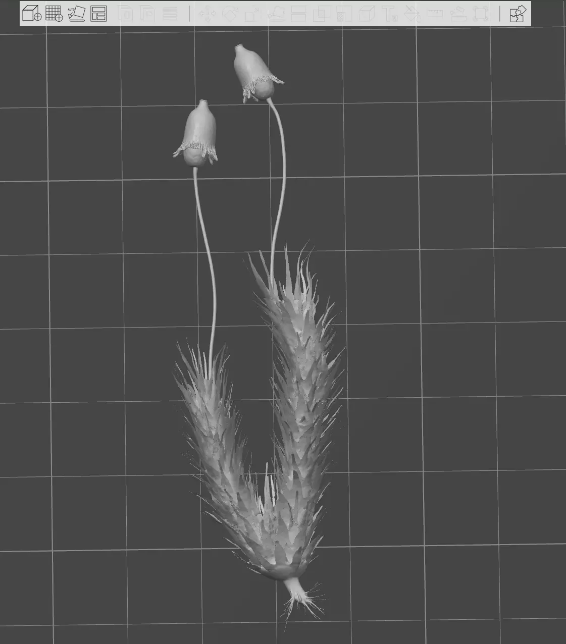 Briofitas plantae Free 3D print model
