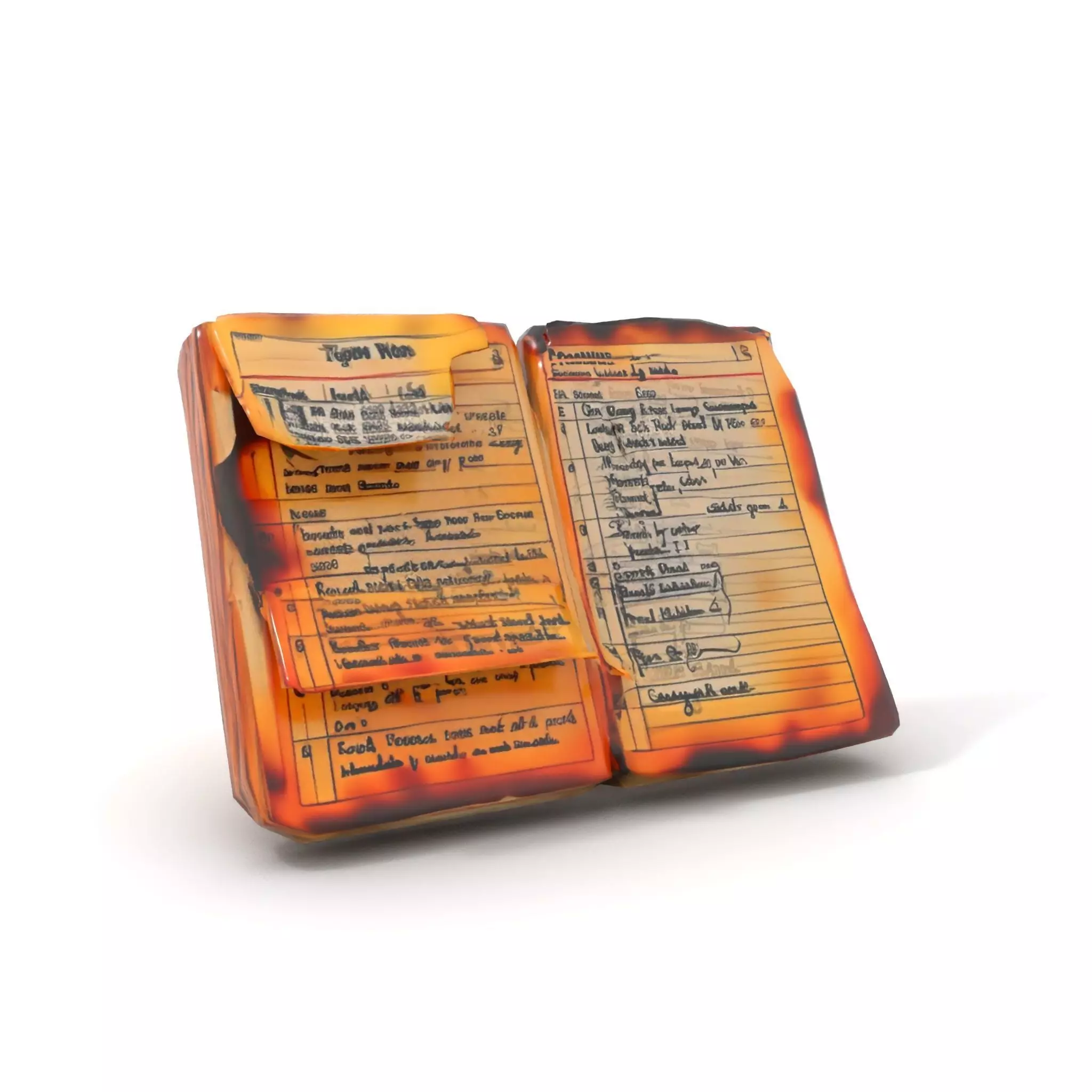 Burnt Book Pages Model Pack Texture_15