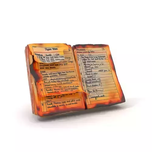 Burnt Book Pages Model Pack Texture