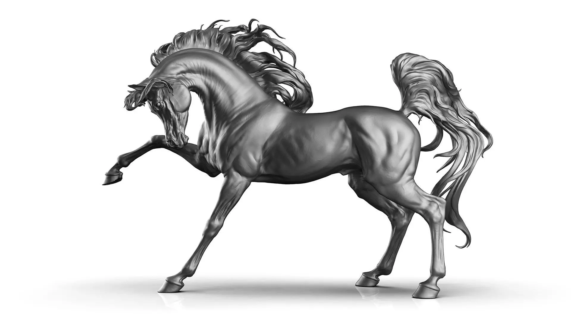 Arabian horse - 3D Sculpting 3D print model_9