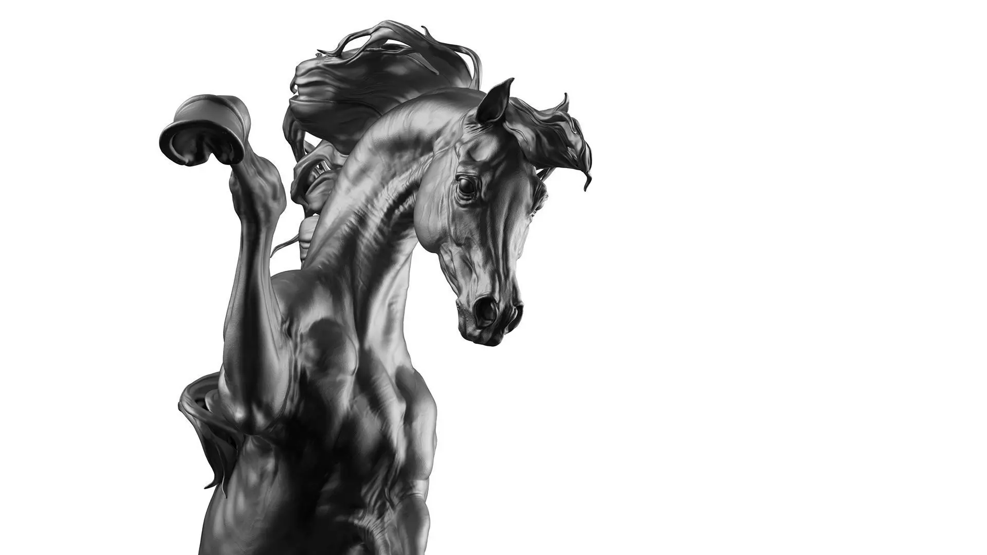 Arabian horse - 3D Sculpting 3D print model_13