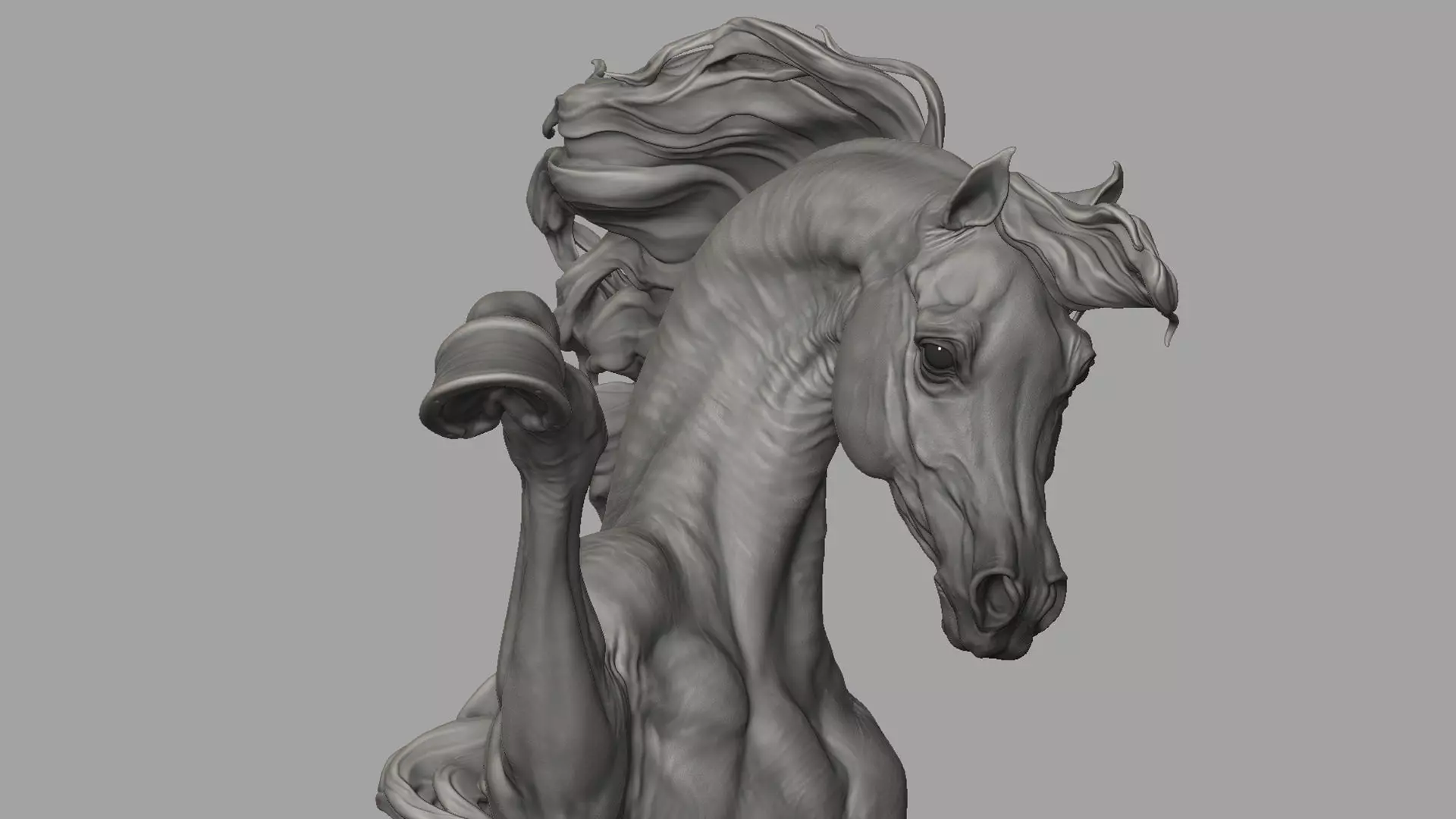 Arabian horse - 3D Sculpting 3D print model_16