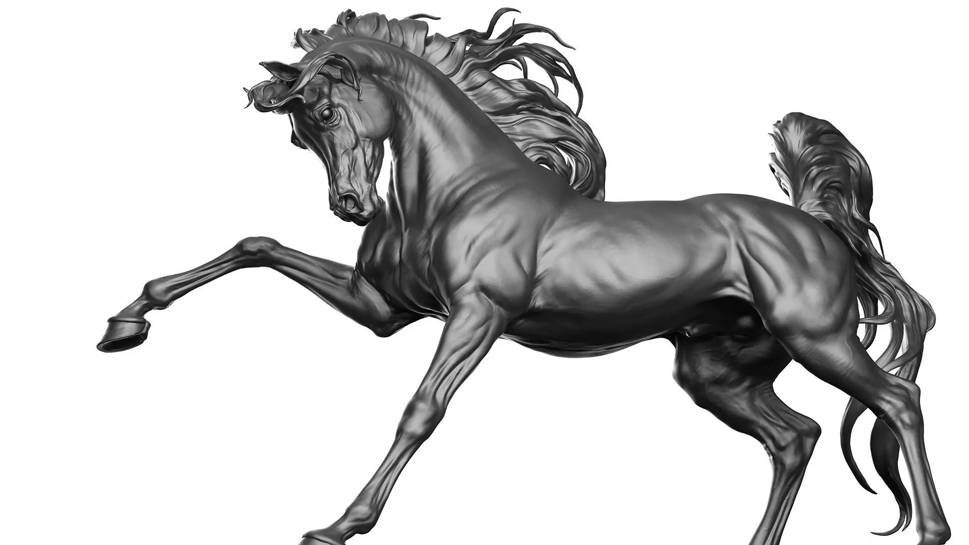 Arabian horse - 3D Sculpting 3D print model_14