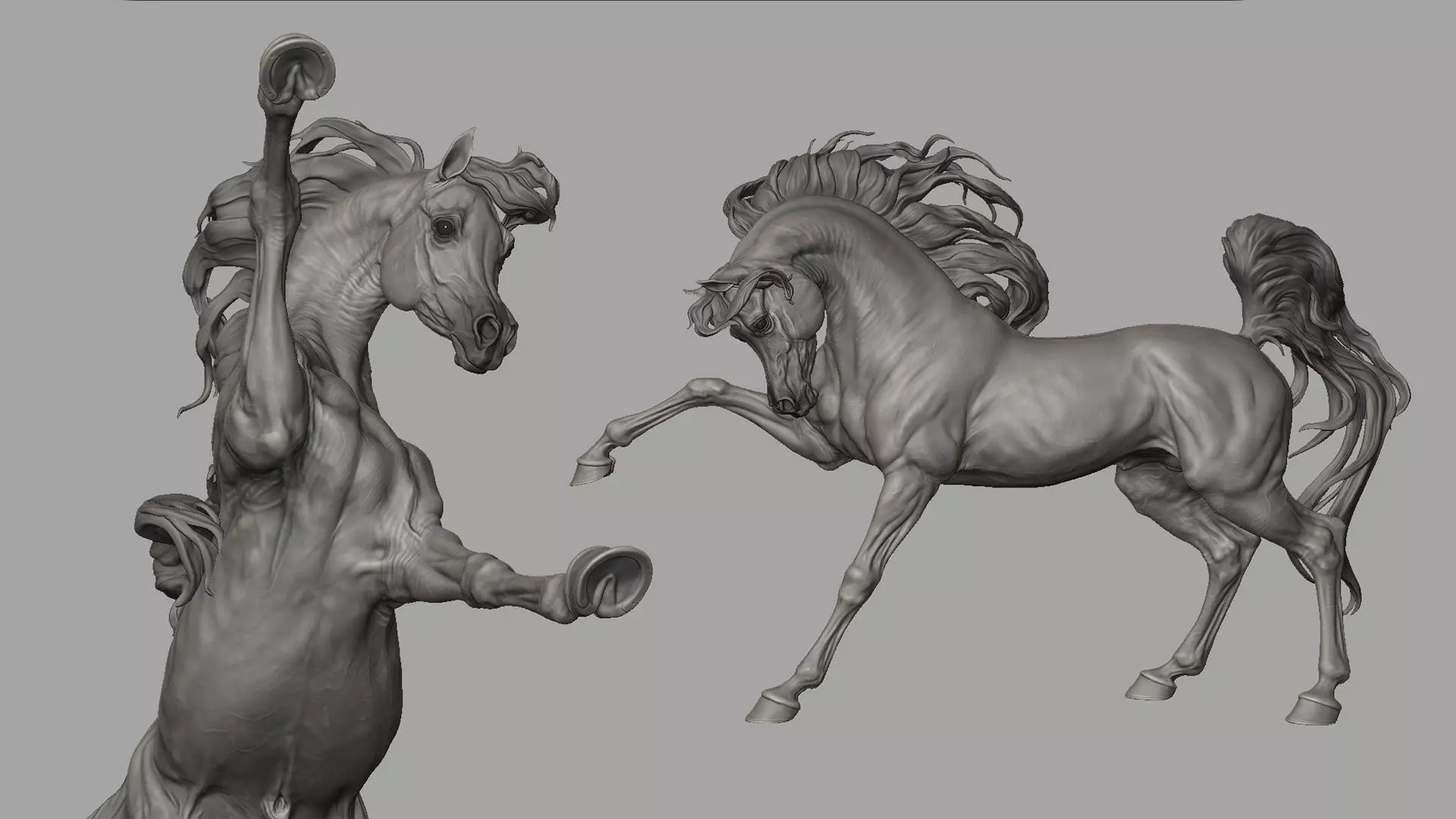 Arabian horse - 3D Sculpting 3D print model_17