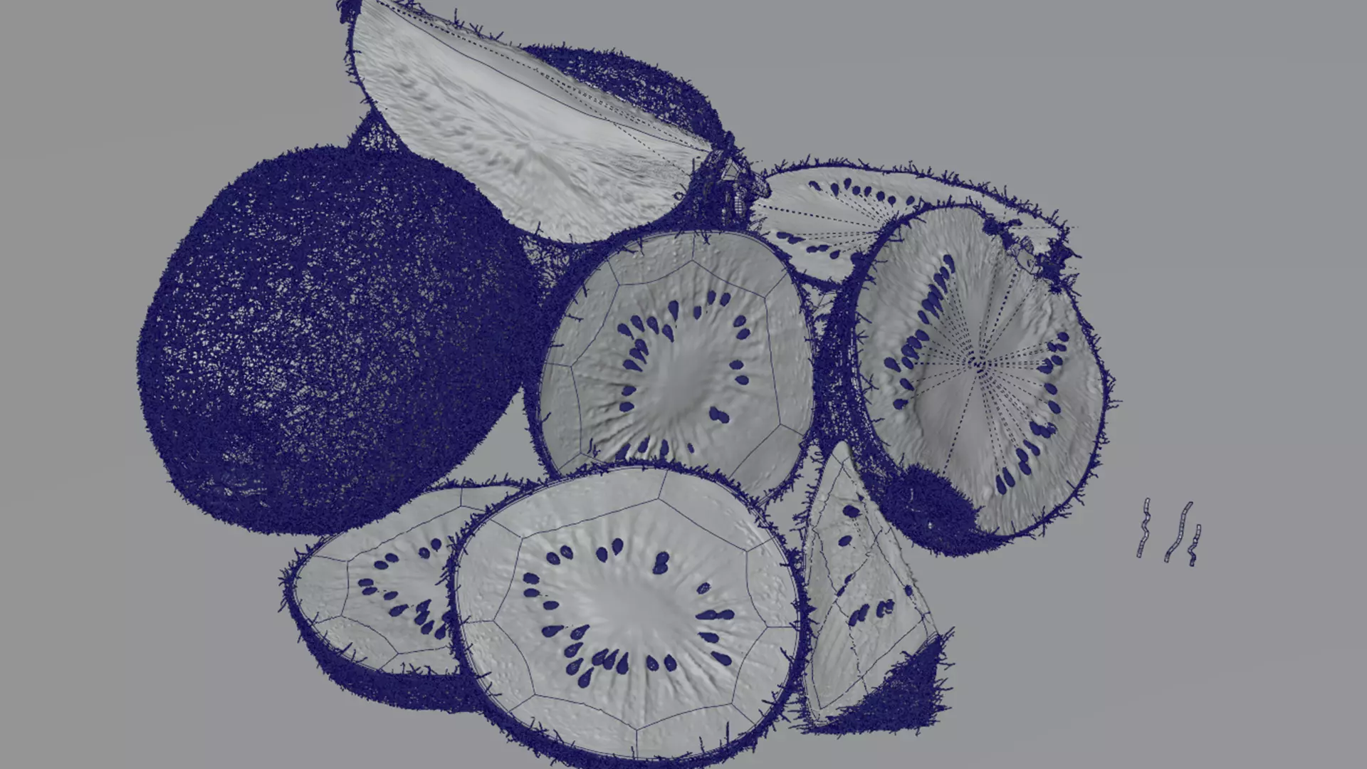 Realistic Kiwi Collection Low-poly 3D model_16