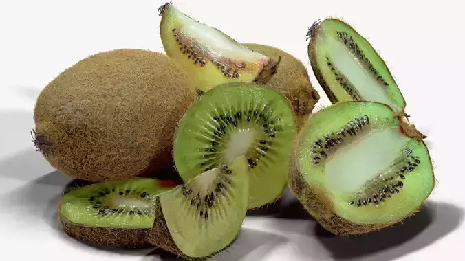 Realistic Kiwi Collection