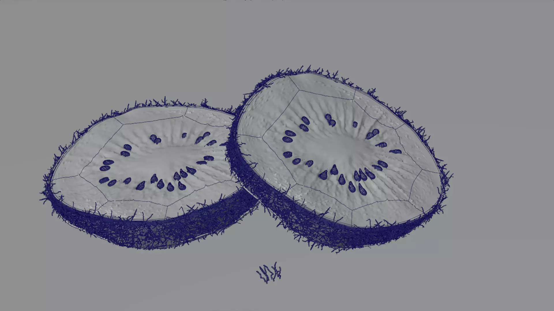 Realistic Kiwi Collection Low-poly 3D model_23