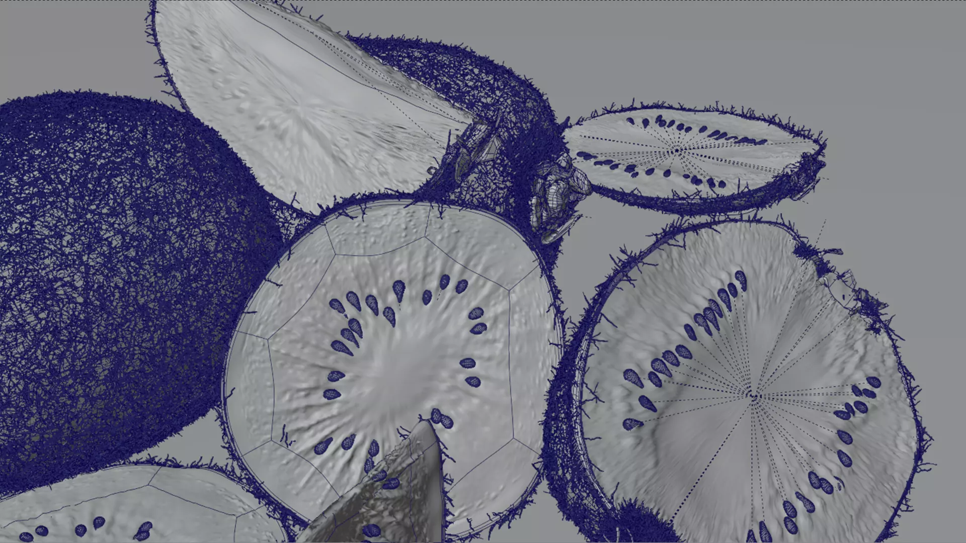 Realistic Kiwi Collection Low-poly 3D model_17