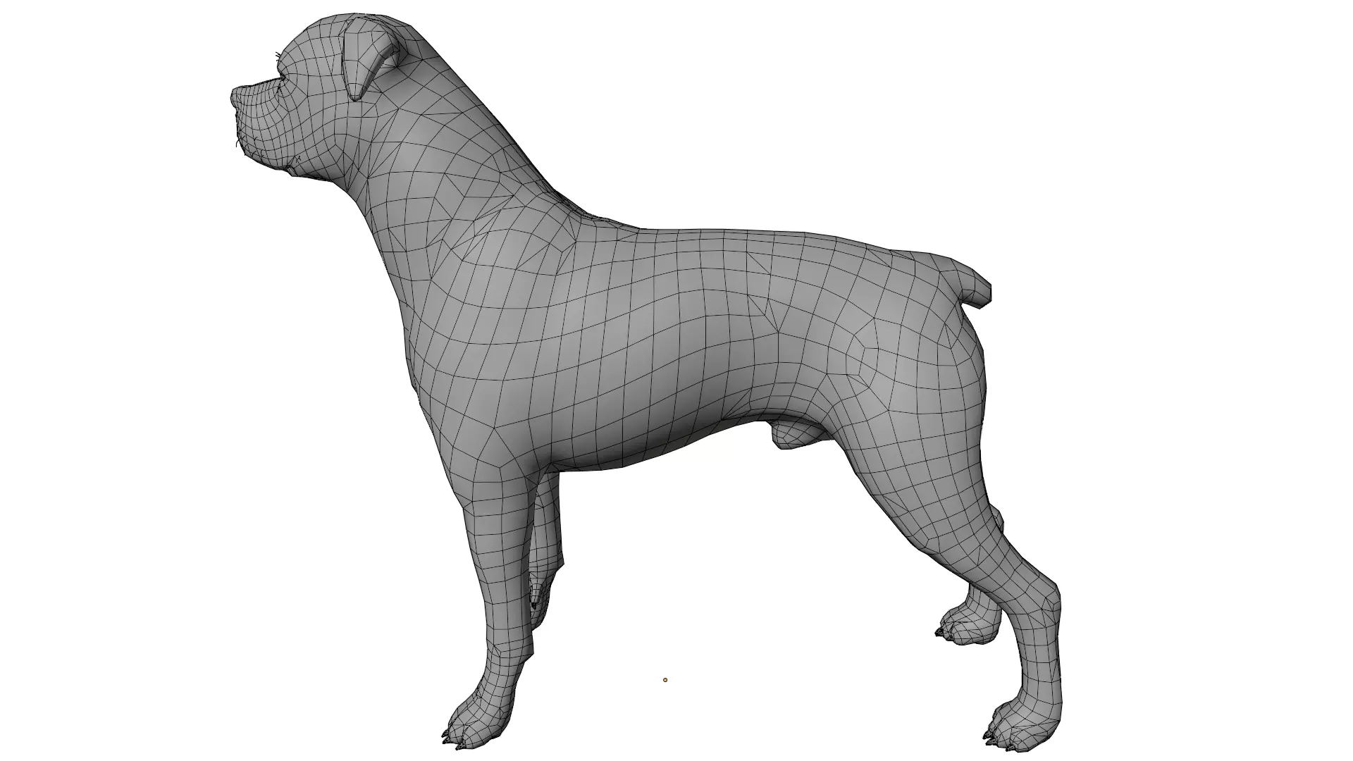 Rottweiler 3D model_10