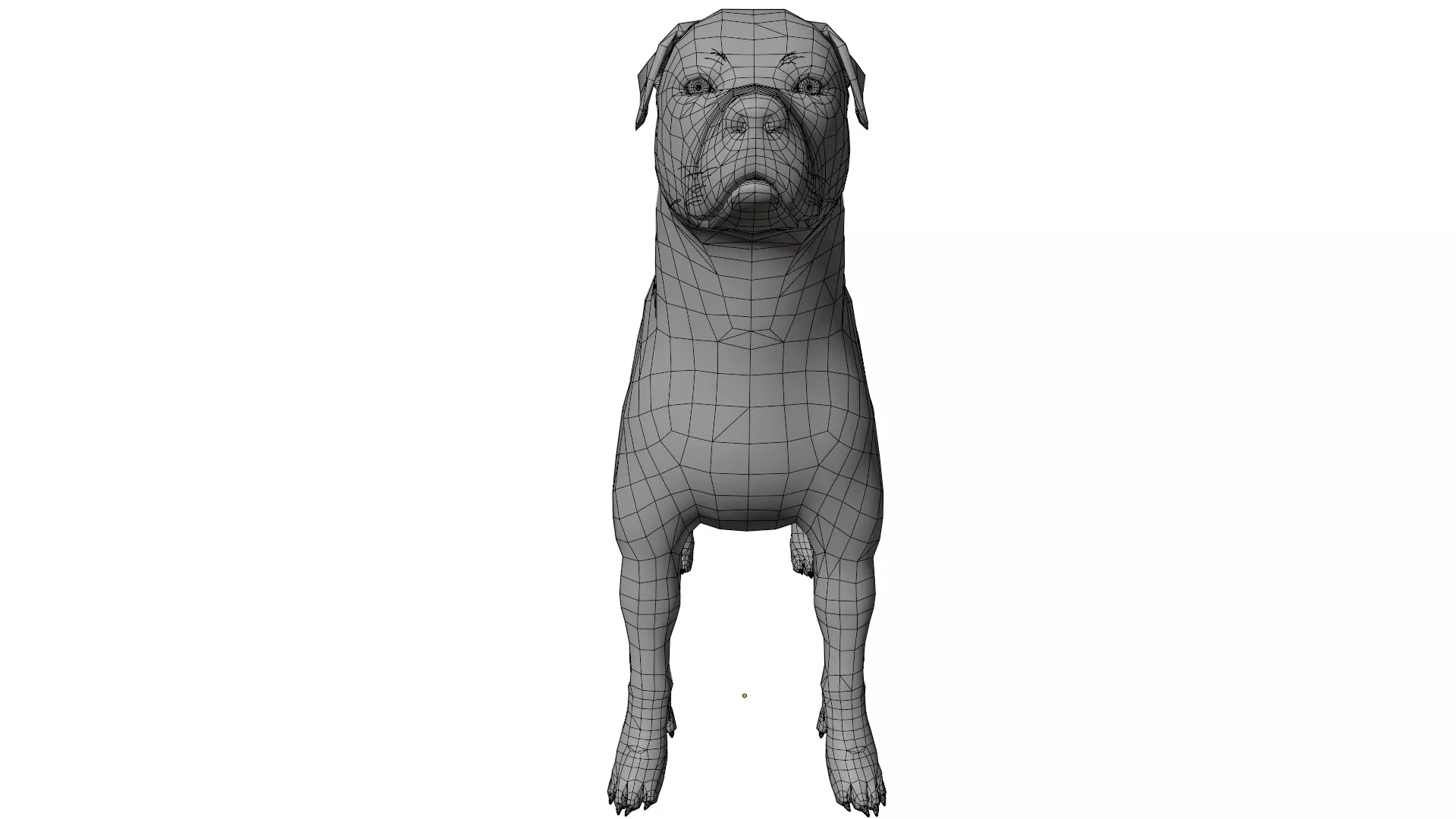Rottweiler 3D model_16