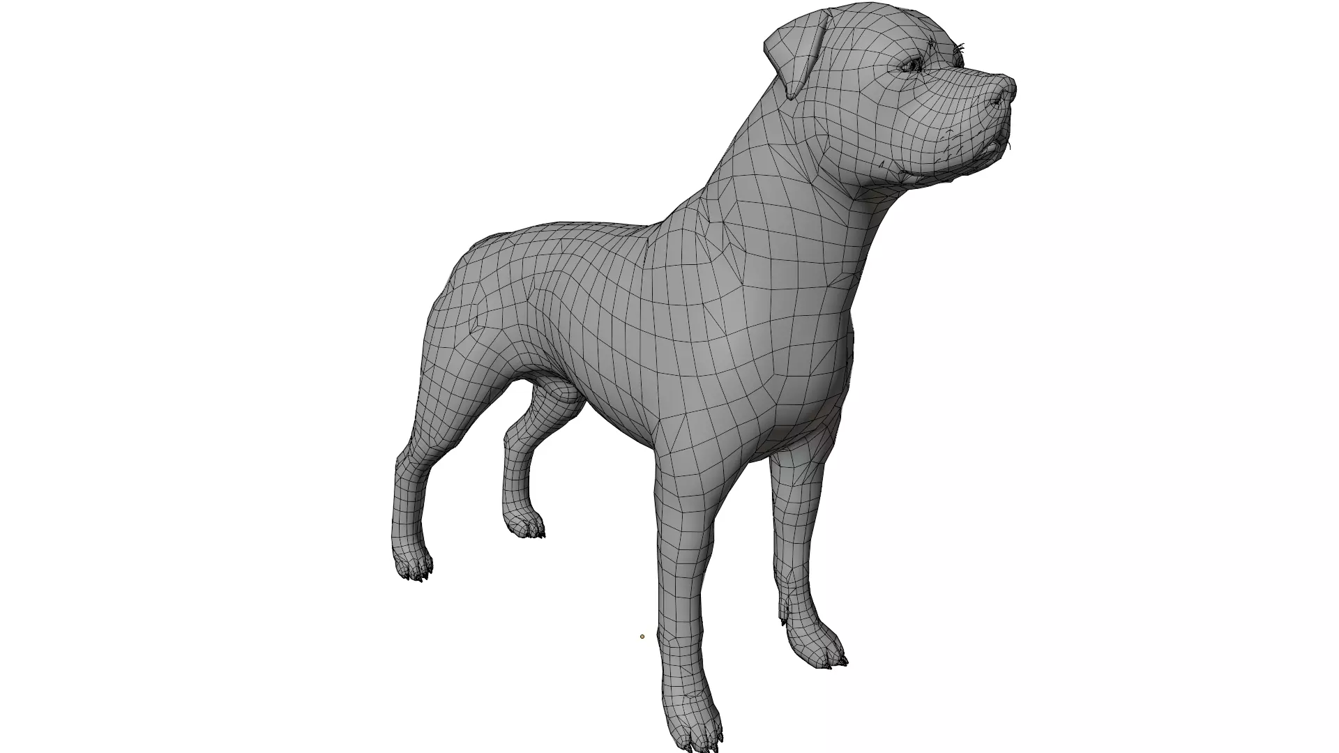 Rottweiler 3D model_15