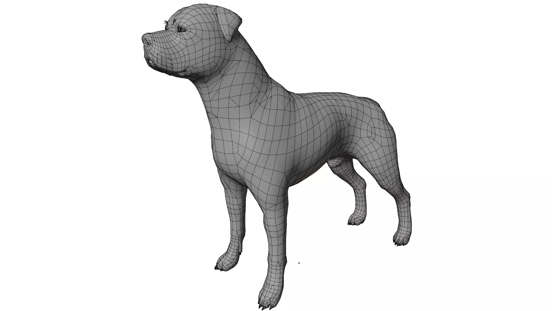 Rottweiler 3D model_9