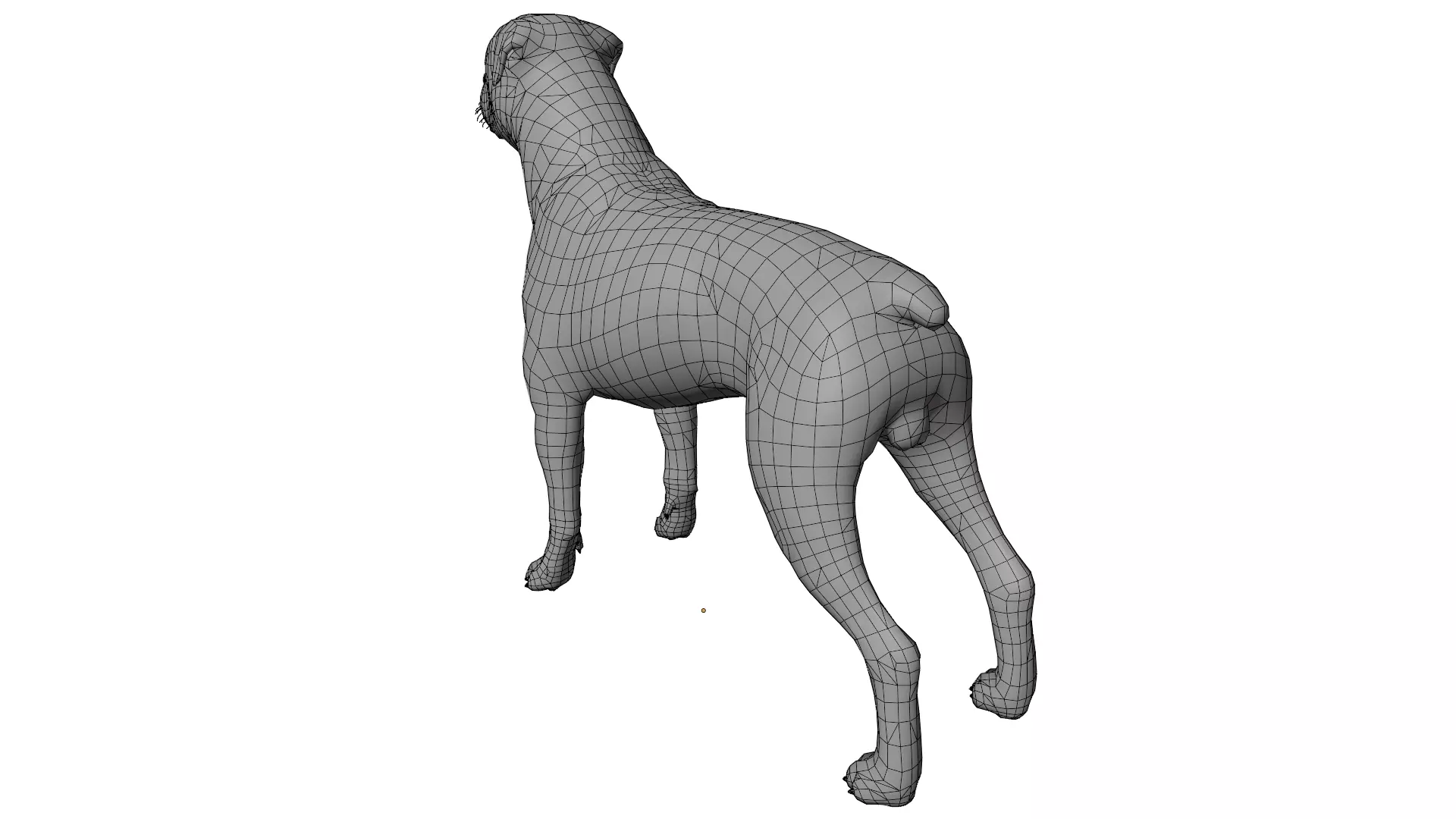 Rottweiler 3D model_11