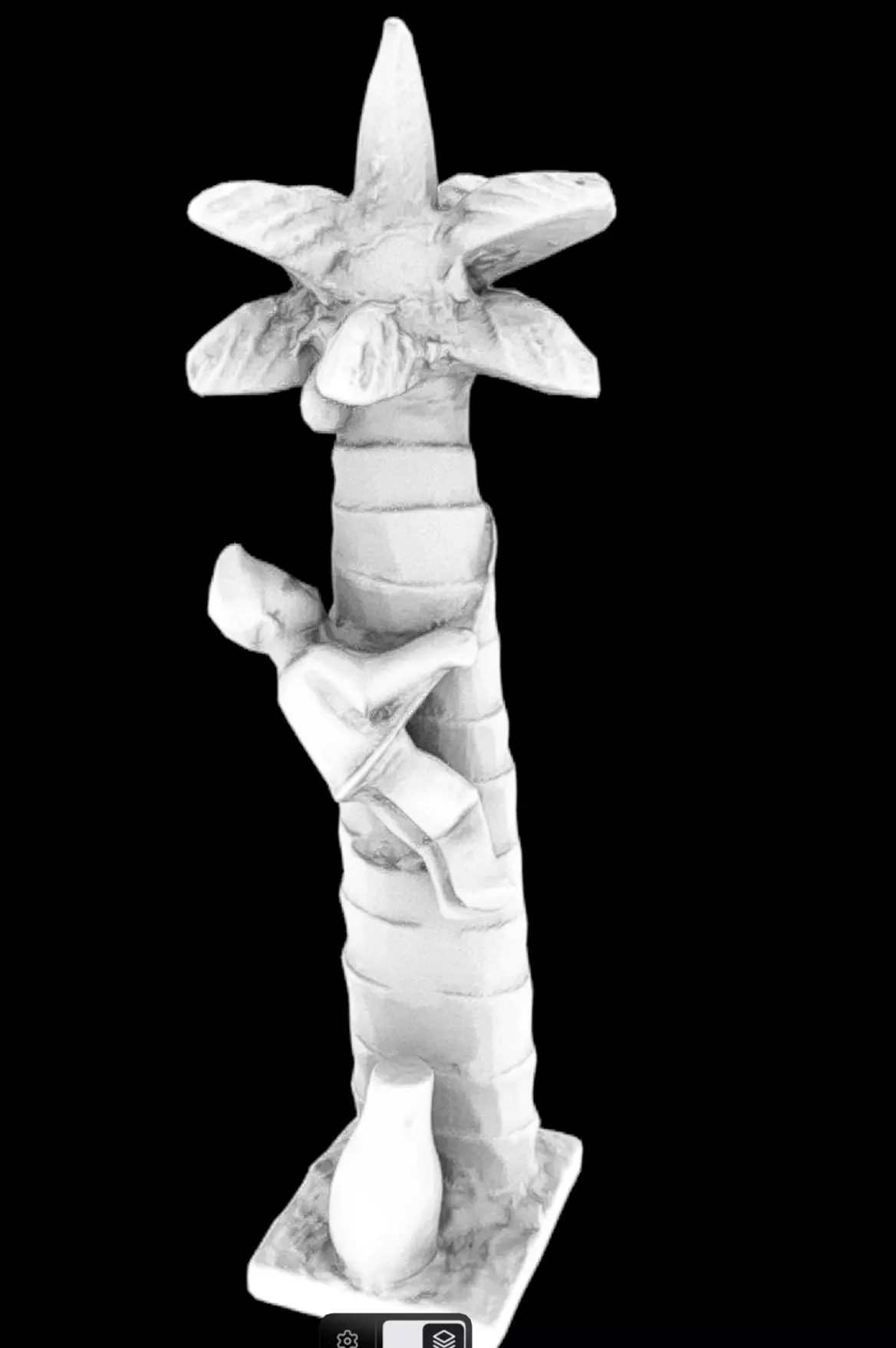 Coconut Tree Farmer Low-poly 3D model_7