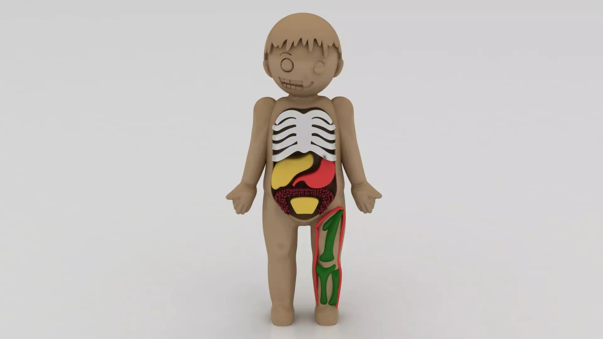 anatomy toy model 3D printable model 3D print model