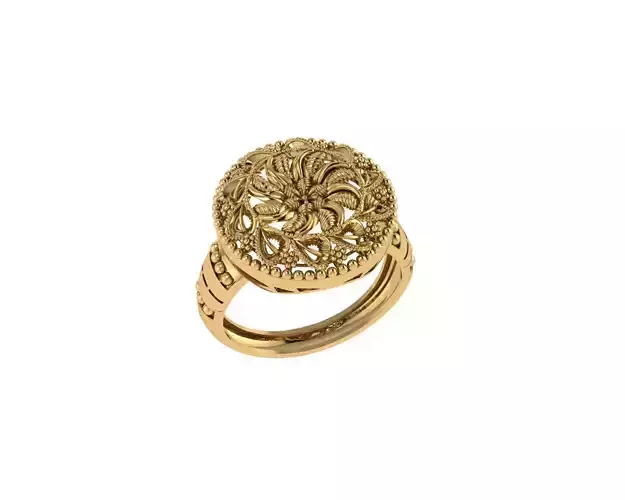 Indian Traditional Rings 3D print model