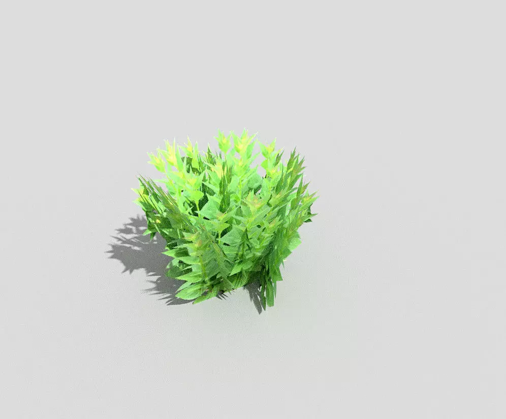 Plant Low-poly 3D model