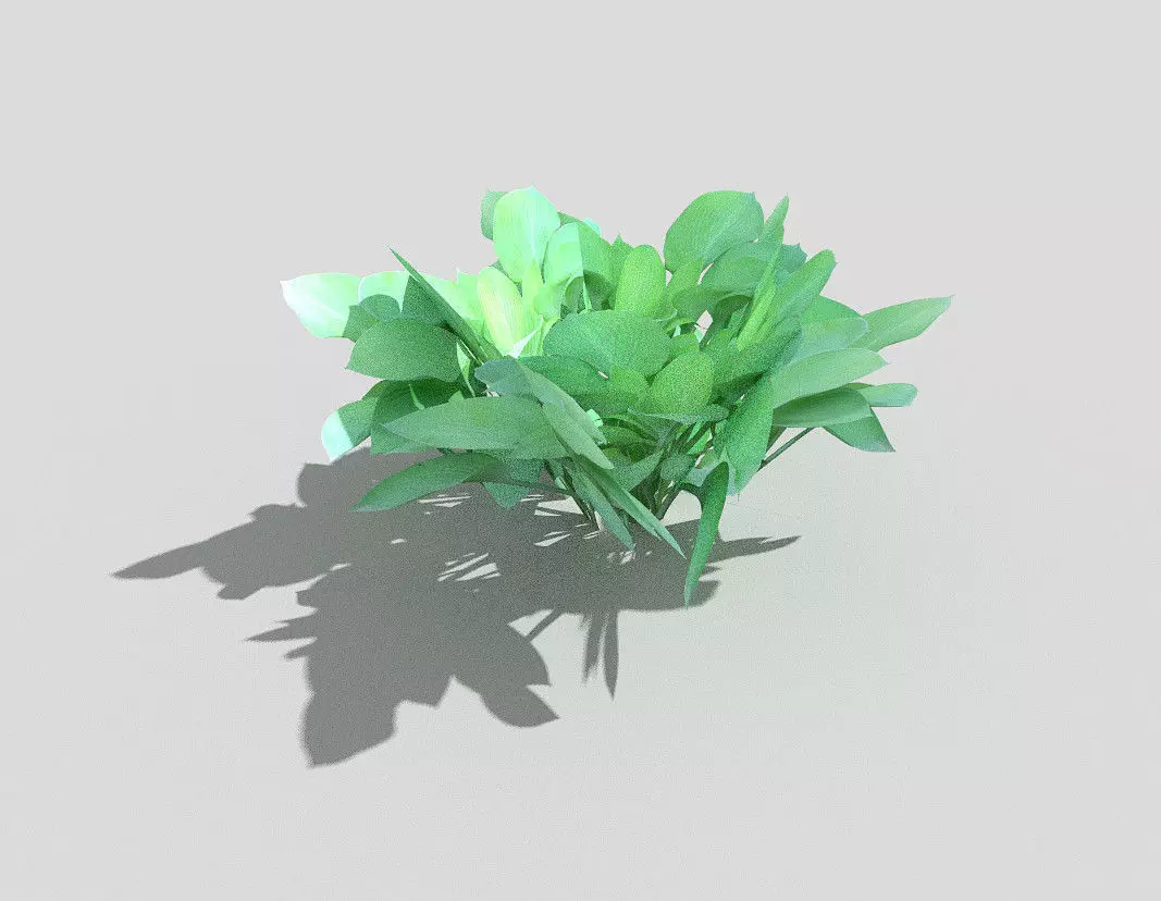 Plant Low-poly 3D model