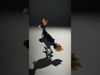 Vibrant Character Models 3D Model Collection_38
