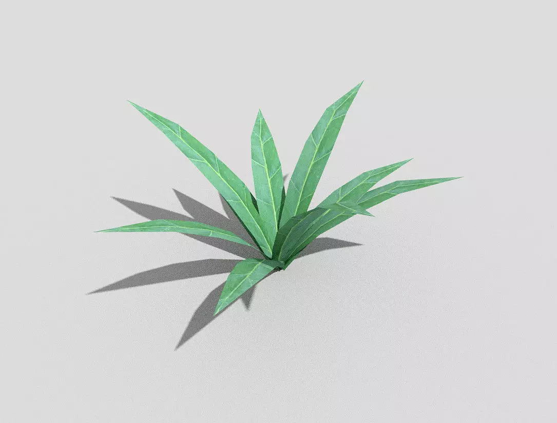 Plant aloe vera Low-poly 3D model