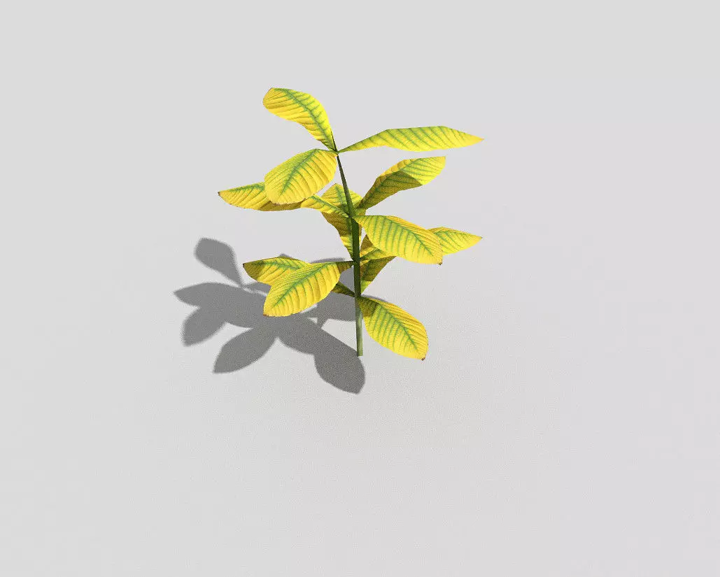 Plant Low-poly 3D model