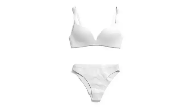 Womens Classic Lingerie White Set - bra with brief panties 3D model