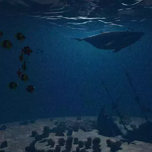 The Bottom of a Forgotten Shipwreck