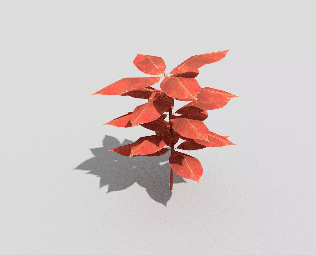 Plant leaf Low-poly 3D model