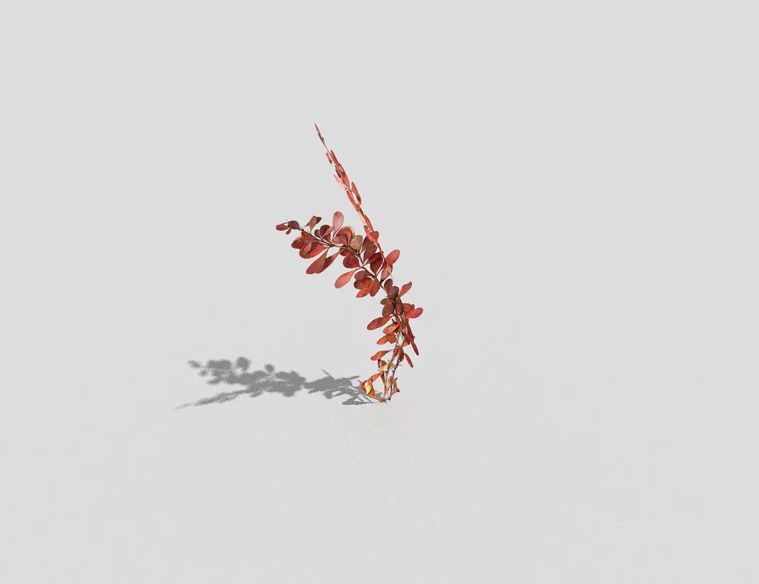Plant ivy leaf Low-poly 3D model