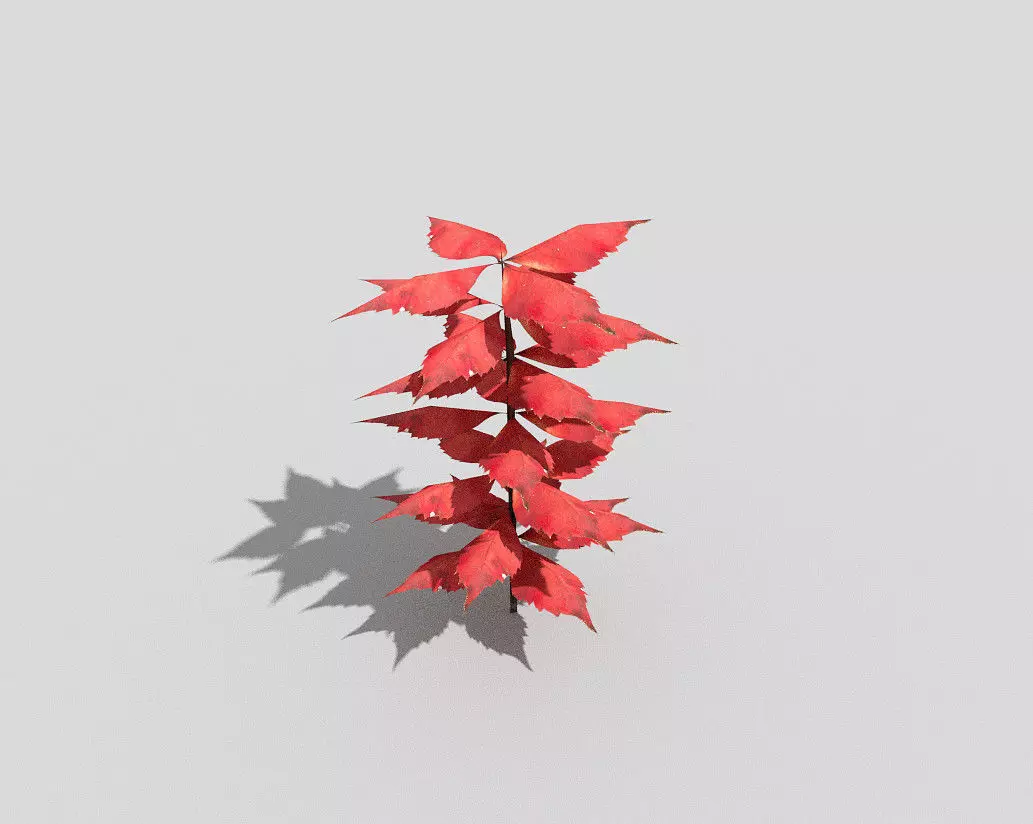 Plant leaf Low-poly 3D model