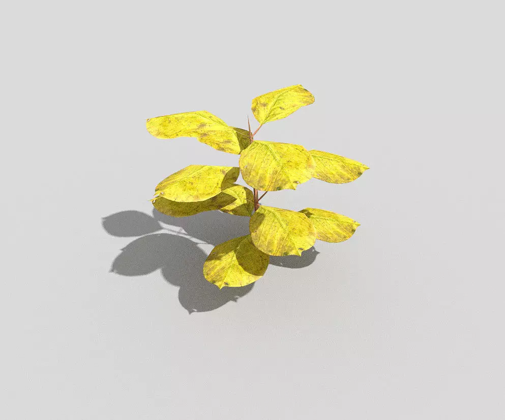 Plant with leaves Low-poly 3D model