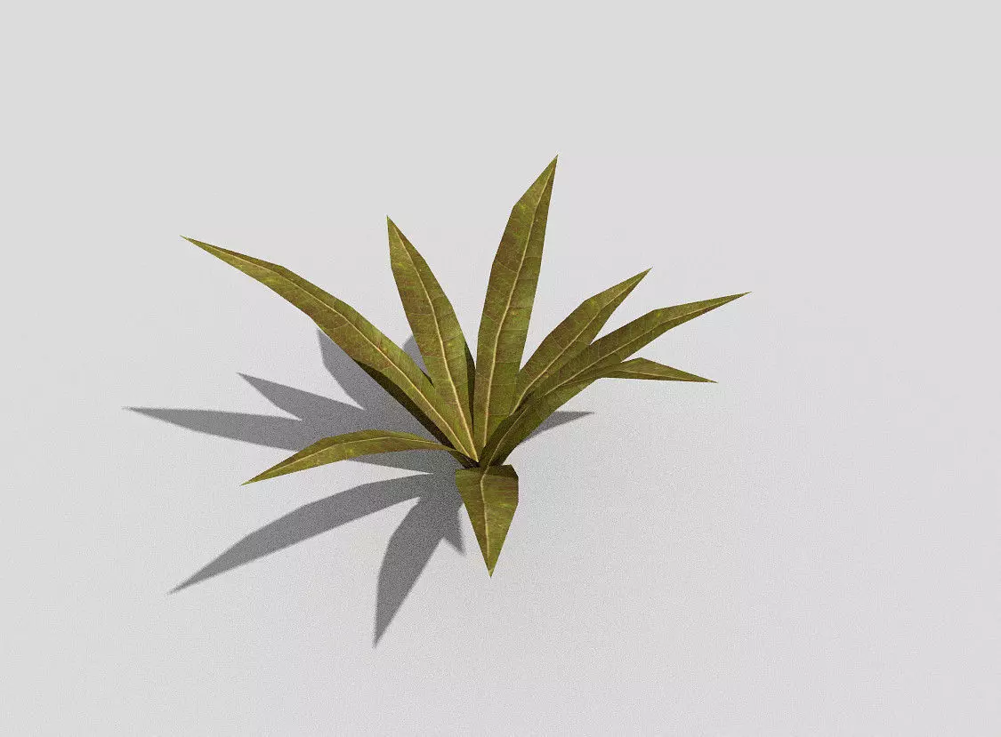 Plant Low-poly 3D model