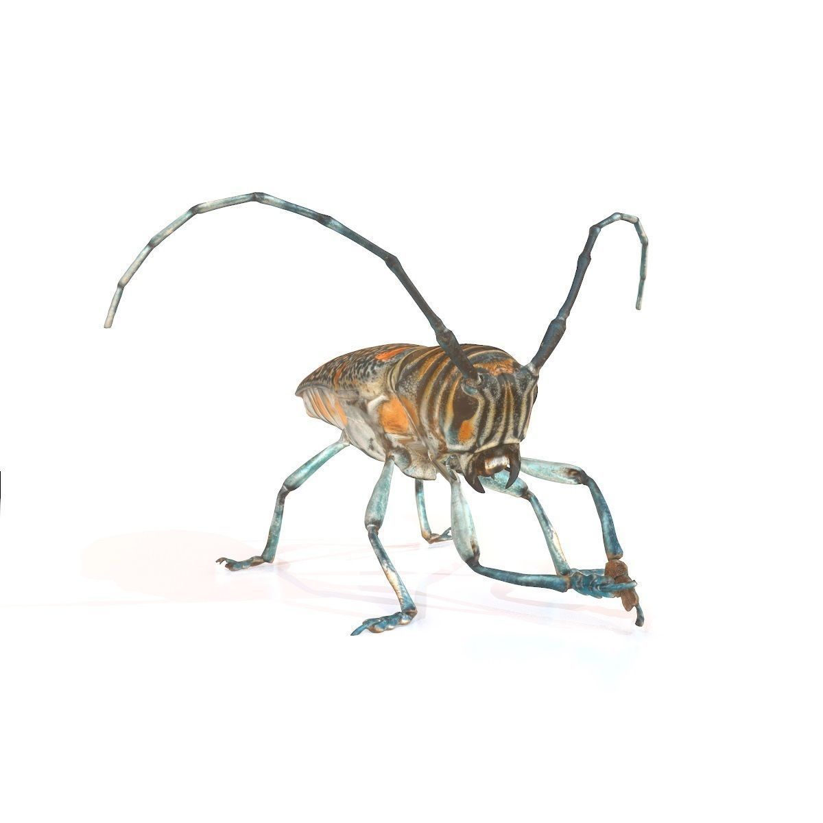 Rigged Insect Zographus Regalis Centralis Low-poly 3D model_4