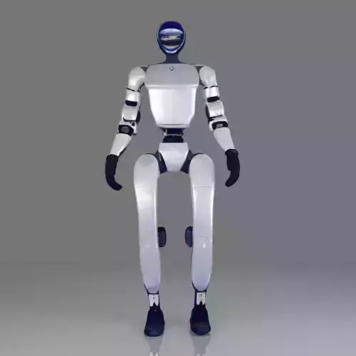 Humanoid robot