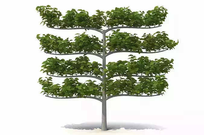 Decorative branch tree