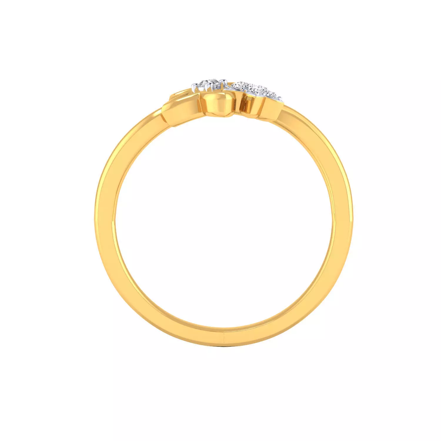 Women Ring Render 3dm STL MTL SLC JCD OBJ FBX Details 3D print model_22