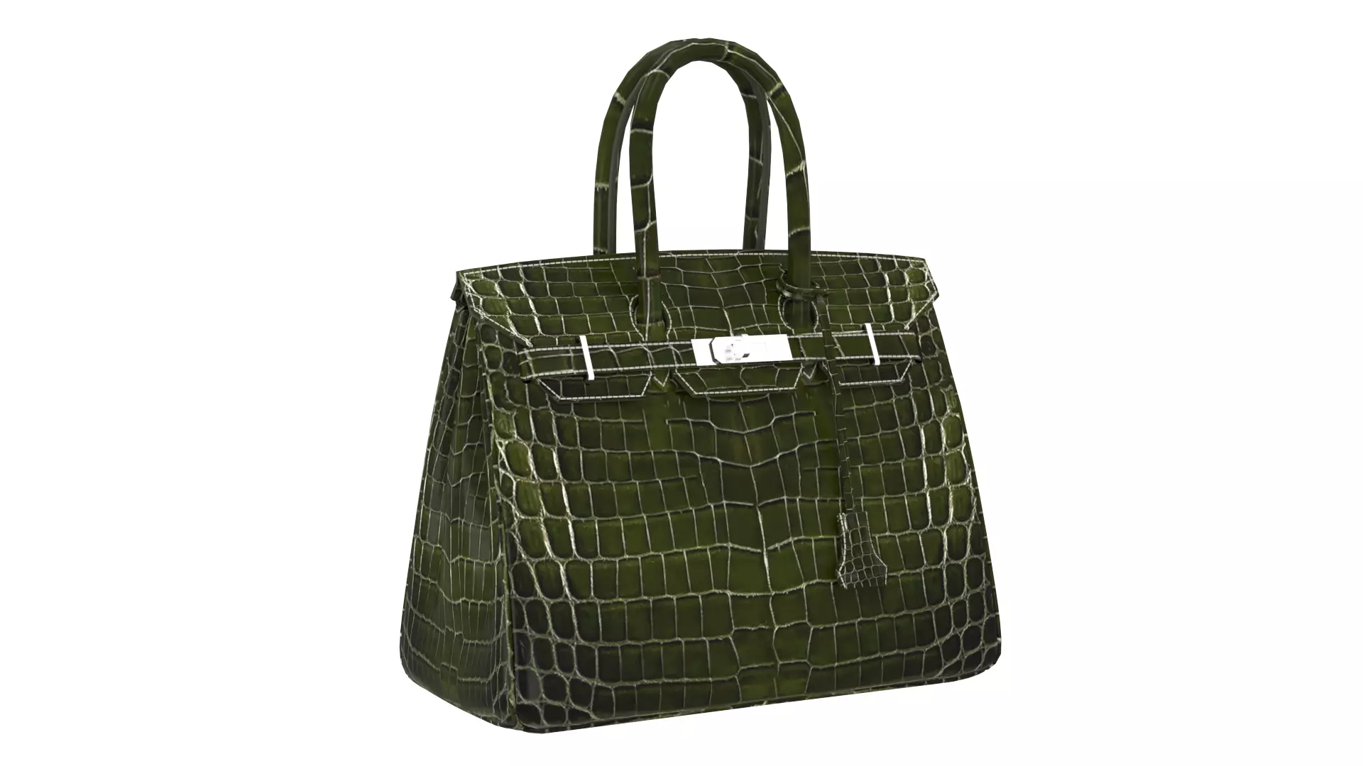 Hermes Birkin Crocodile Moss Green 3D Model Low-poly 3D model_0