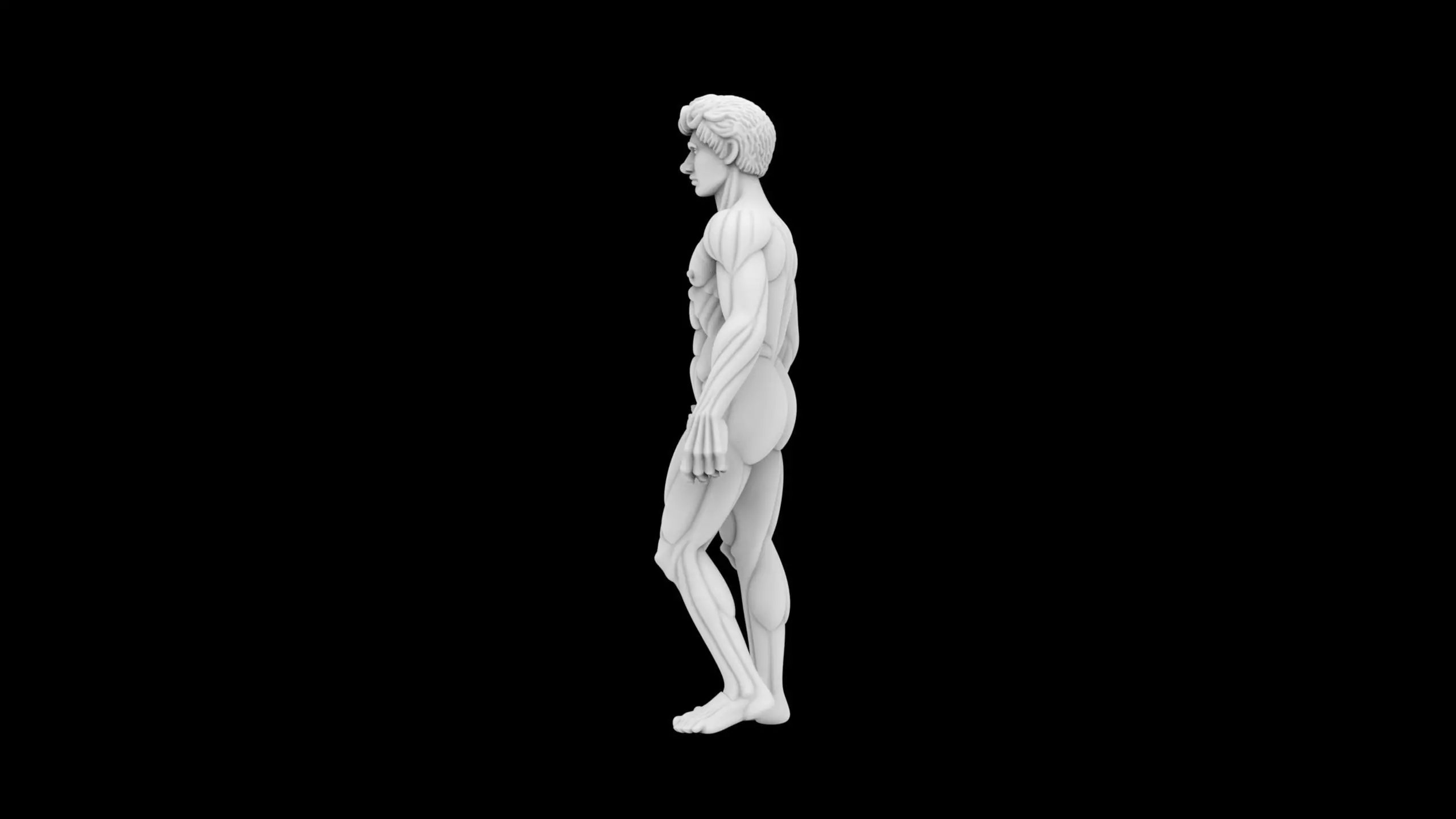Heroic Male Torso Statue Classical 3D Print Sculpture 3D print model_6