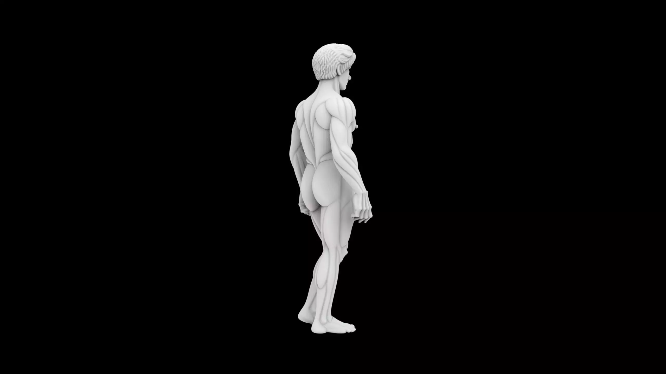 Heroic Male Torso Statue Classical 3D Print Sculpture 3D print model_4