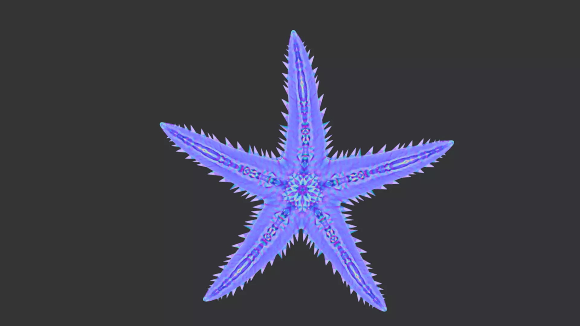 Realistic Sea Star - Starfish  Animated 3D model_7
