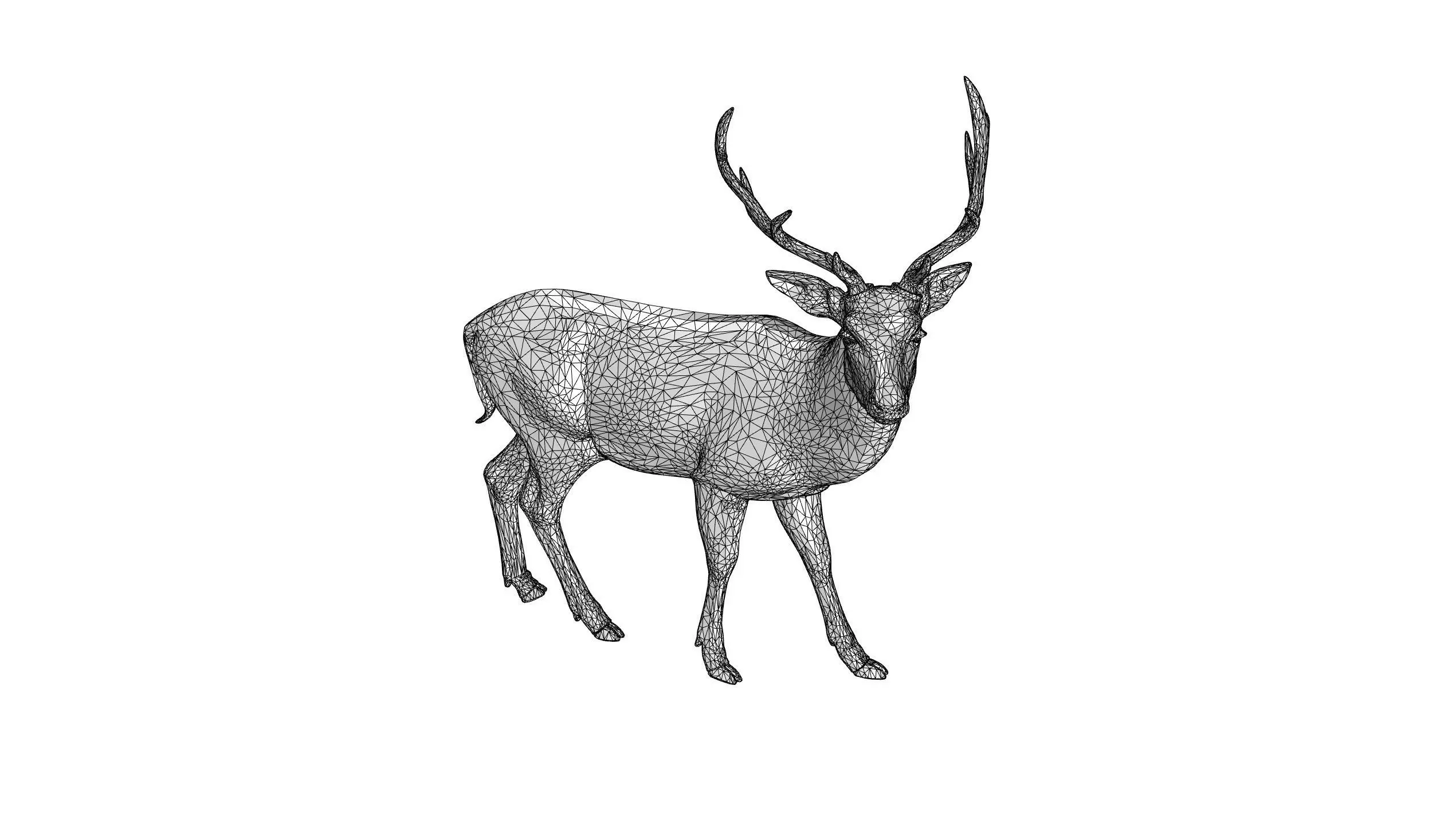 Fallow deer Low-poly 3D model_8