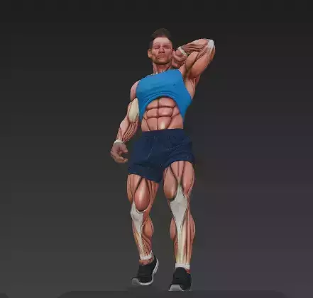Athletic Male Model - High-Definition Fitness Anatomy Low-poly 3D model