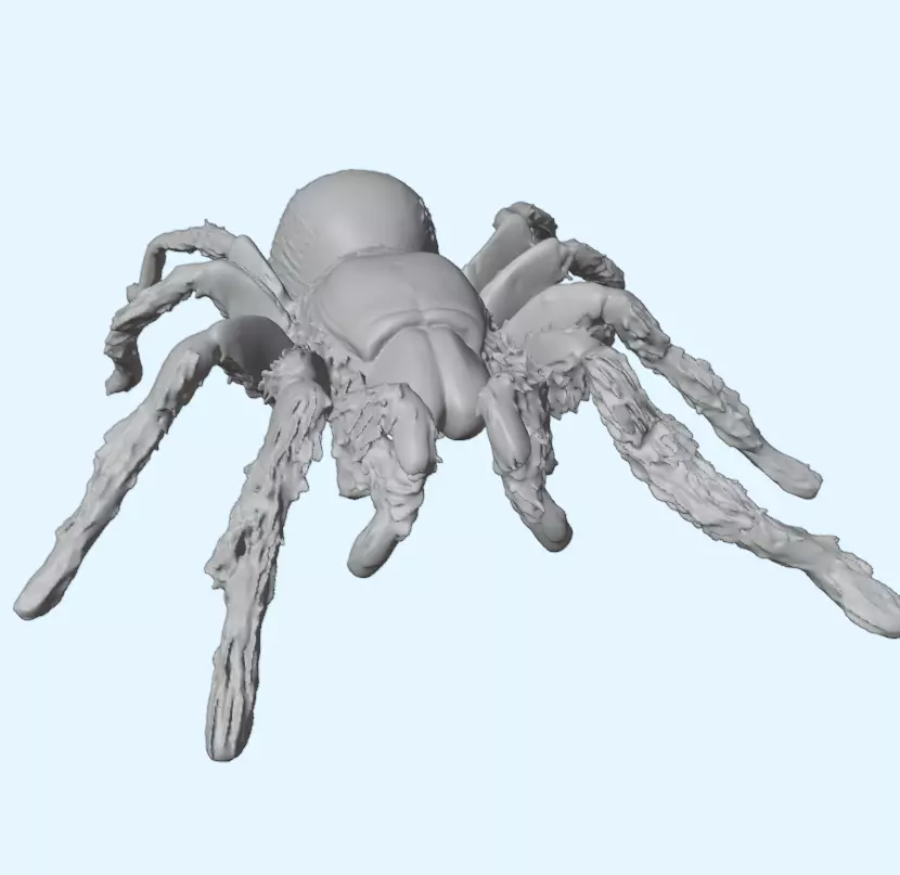 Realistic Tarantula 3D print model