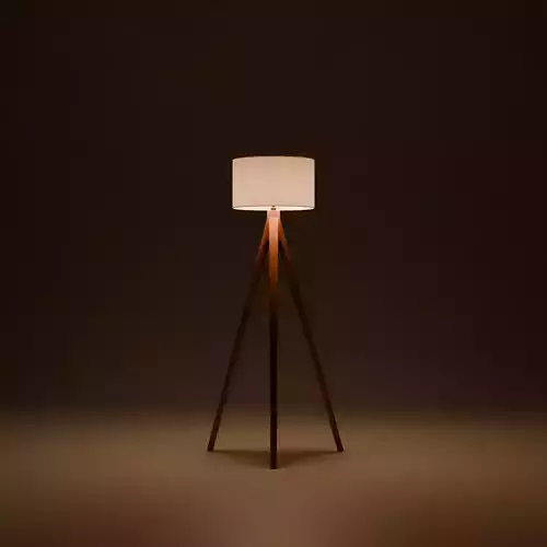 Modern Tripod Floor Lamp