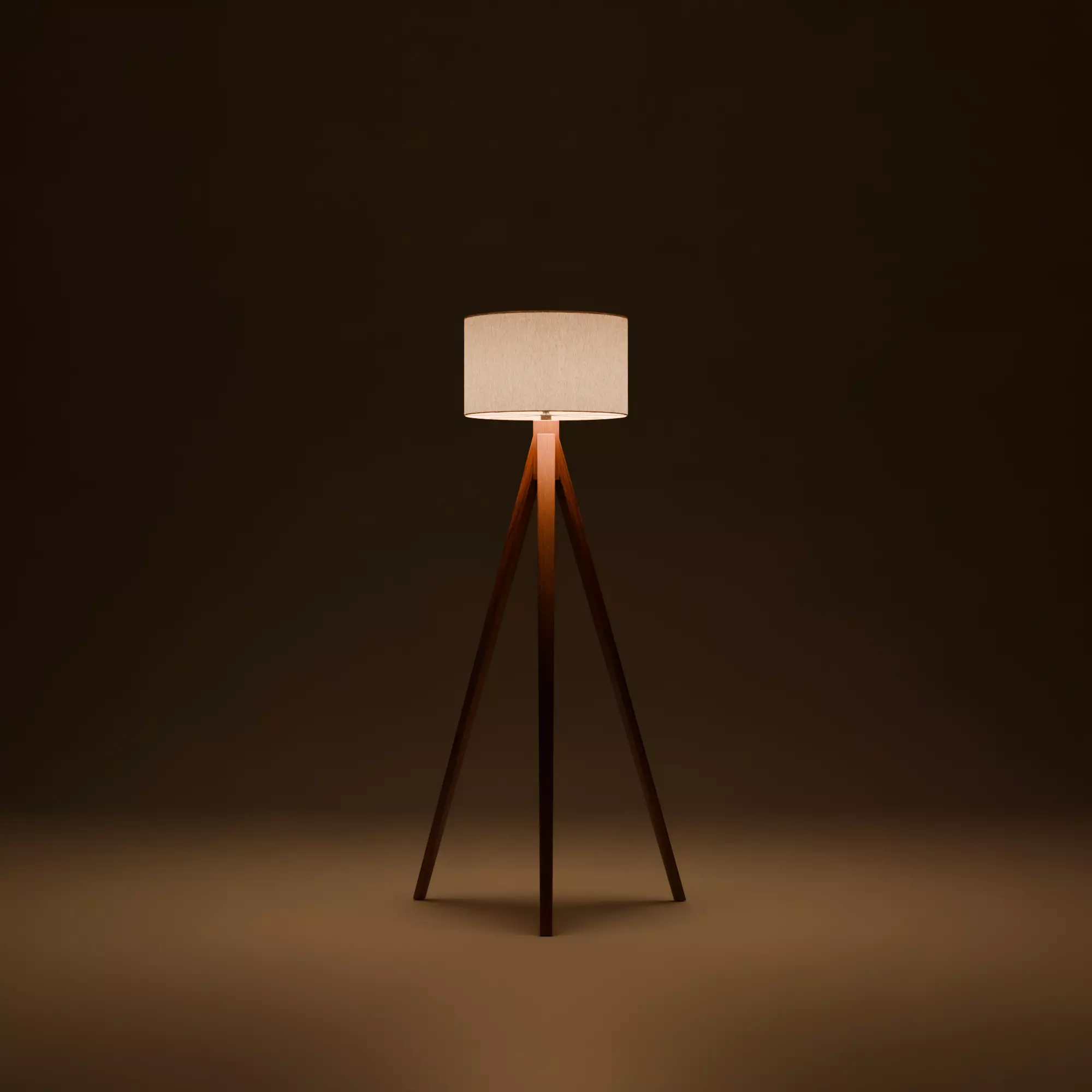 Modern Tripod Floor Lamp 3D model_0