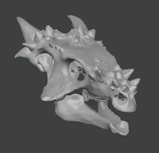 3D Dracorex Pachycephalosaurus articulated Skull 